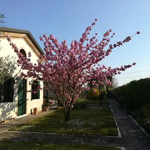 Casa Pianta Gasthof Cavallino-Treporti